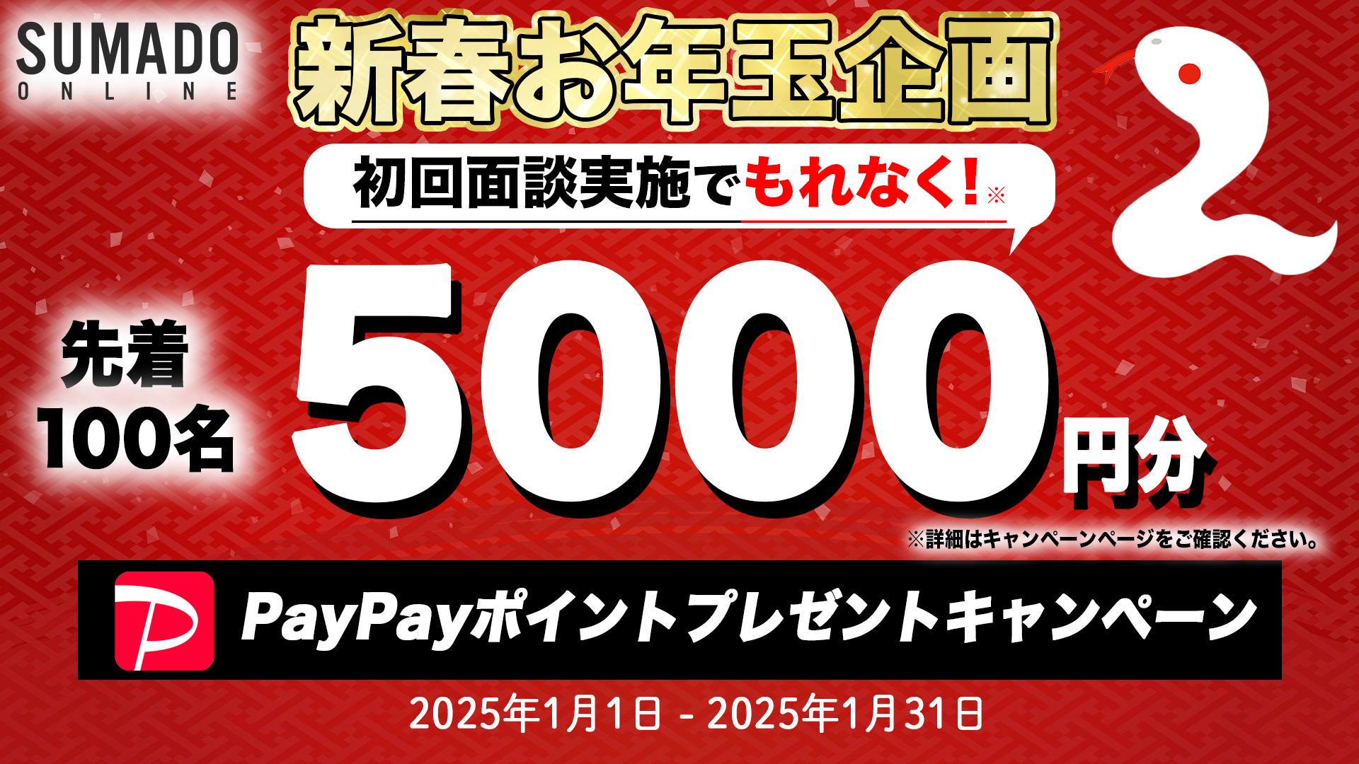 PayPayポイントプレゼントキャンペーン